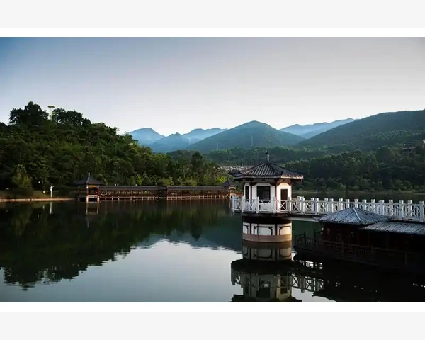 数字浪潮中会计人如何重塑职业价值