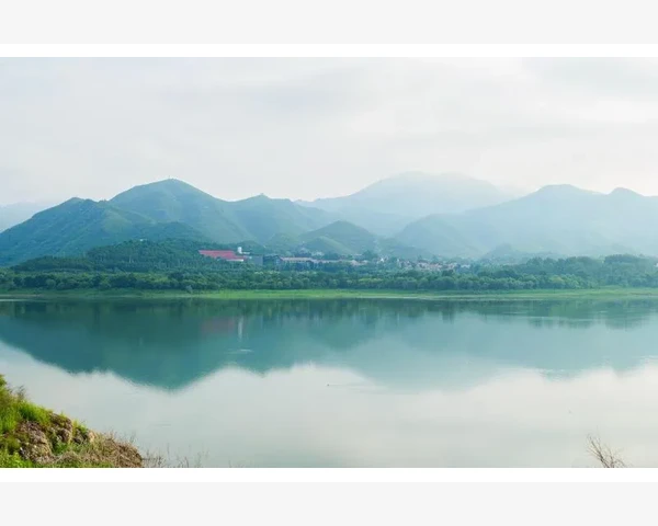 橙子煮水：舒缓咳嗽、润肺化痰的中医疗法